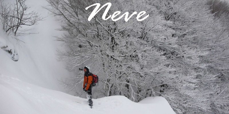 Fotogallery - Neve